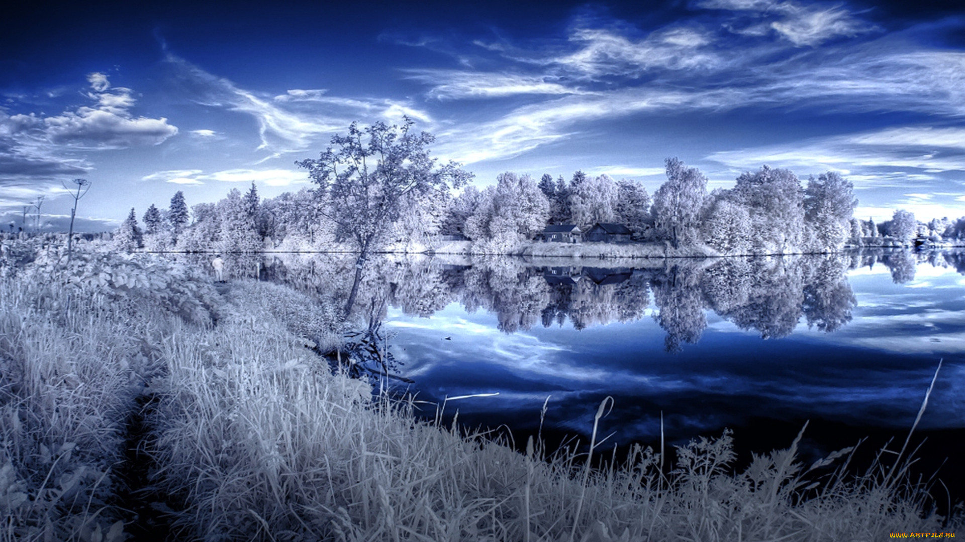 infrared, winterscape, , , , 